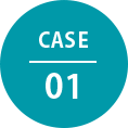 CASE 01