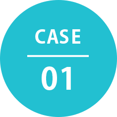 CASE 01