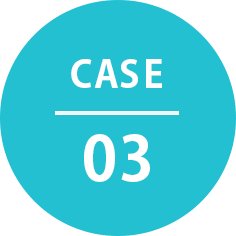 CASE 03
